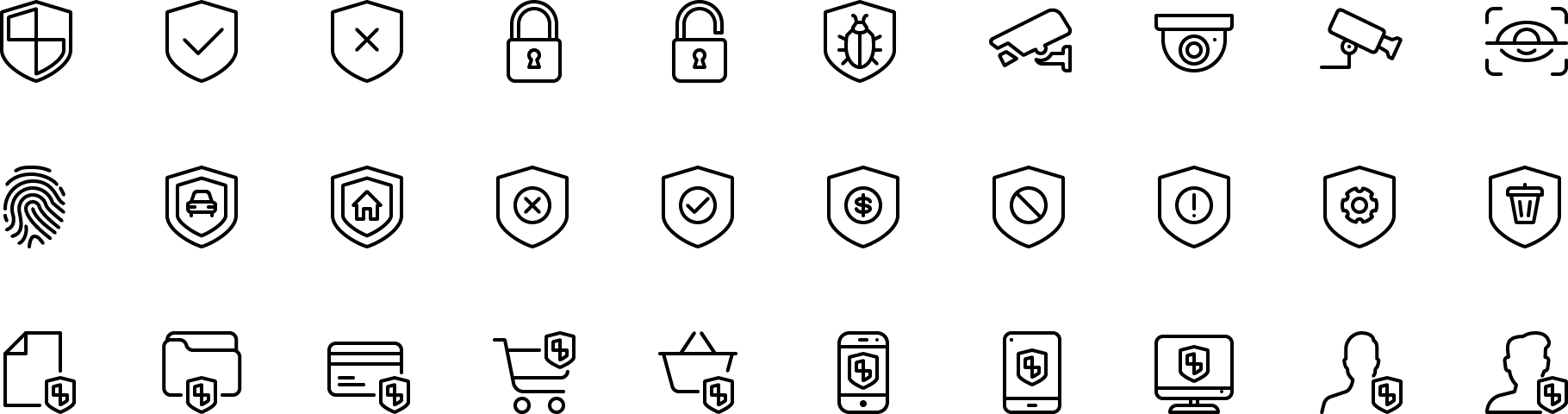 icon Security