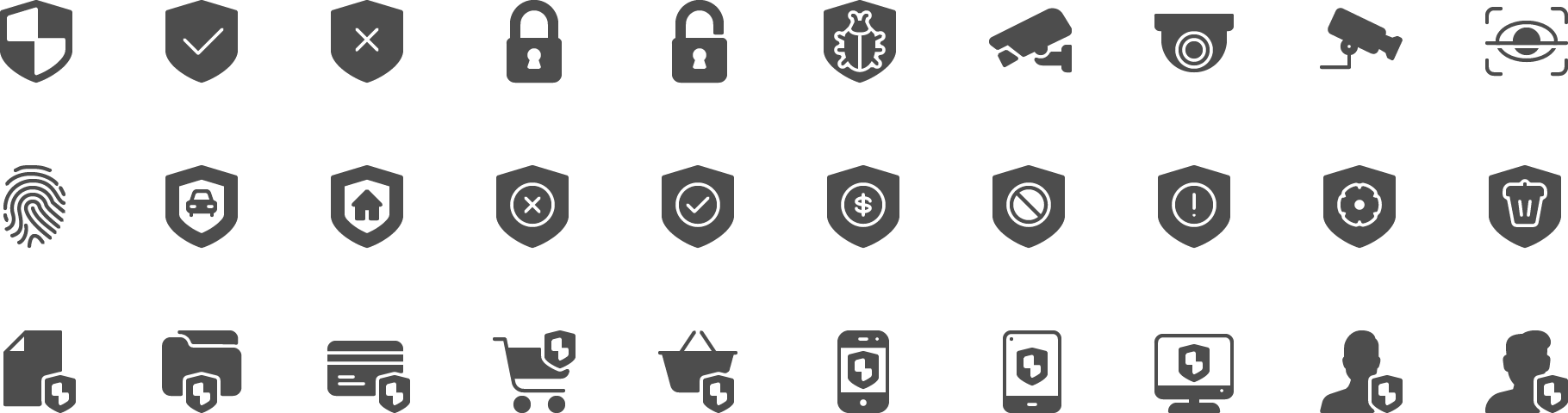 icon Security